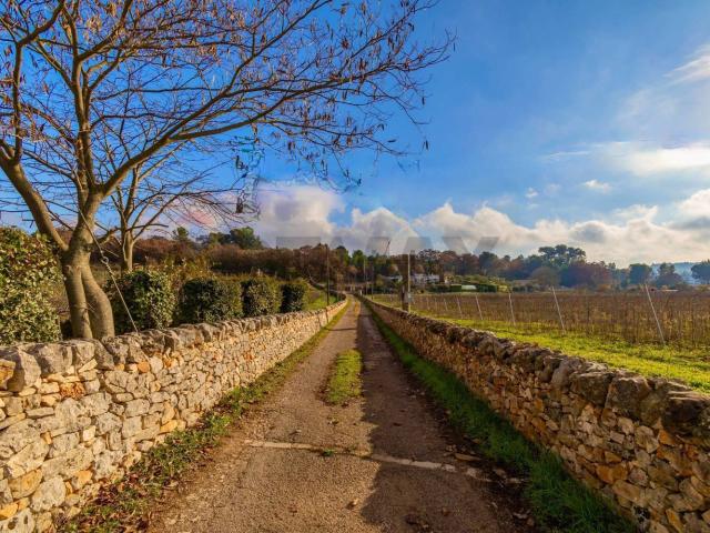 Rustici e casali in vendita di 1000 m²