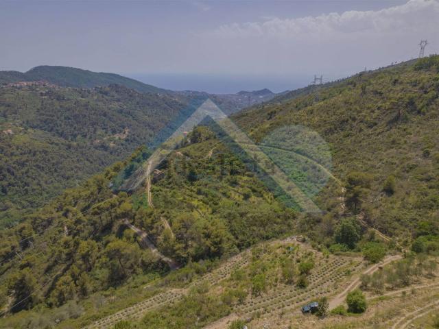 Rustici e casali in vendita di 100 m²