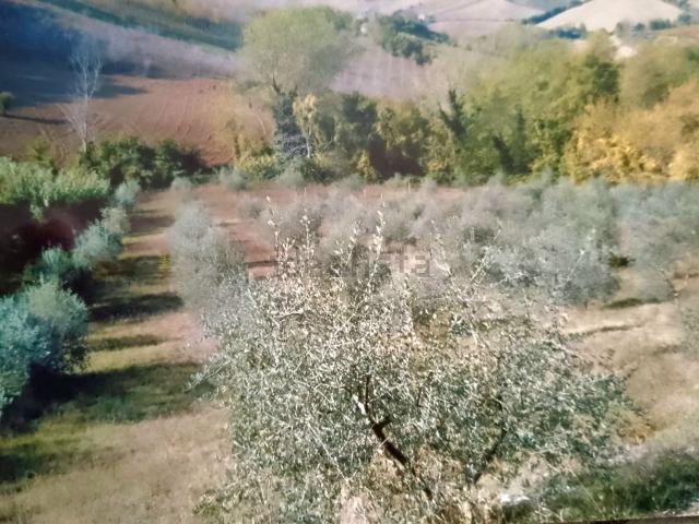 Rustici e casali in vendita di 100 m² in Contrada Santa Maria