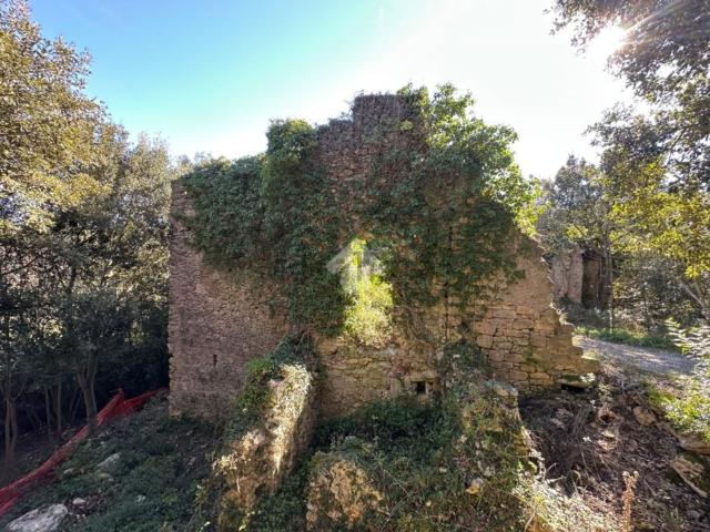 Rustici e casali in vendita di 100 m² in Località Manie