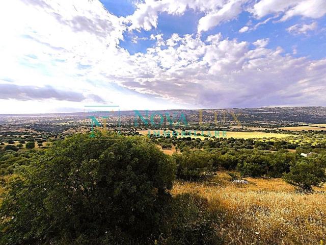 Rustici e casali in vendita di 100 m² in Strada Provinciale 37