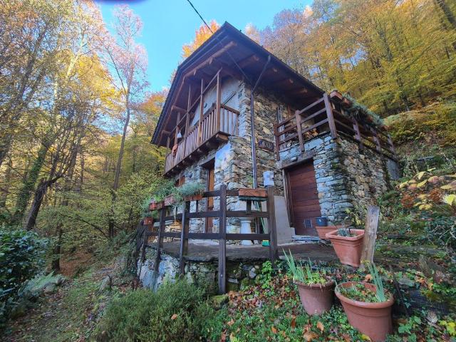 Rustici e casali in vendita di 103 m² in Località folecchio