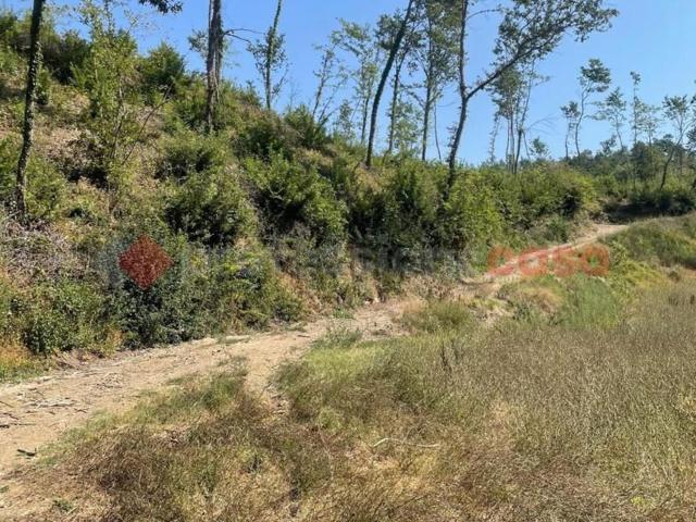 Rustici e casali in vendita di 116 m² in Via Cisogna