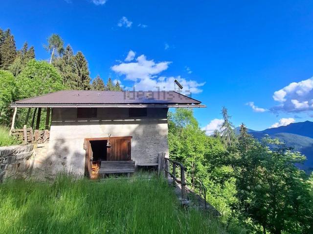 Rustici e casali in vendita di 110 m² in Frazione Borzago