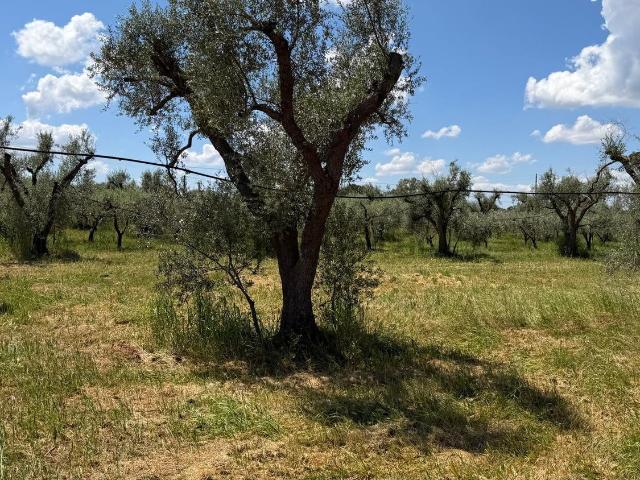 Rustici e casali in vendita di 111 m² in Contrada pallone, 1