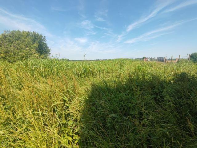 Rustici e casali in vendita di 11 m² in Via Gorghi A Destra, 2796
