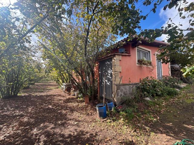 Rustici e casali in vendita di 125 m² in Strada Provinciale 26