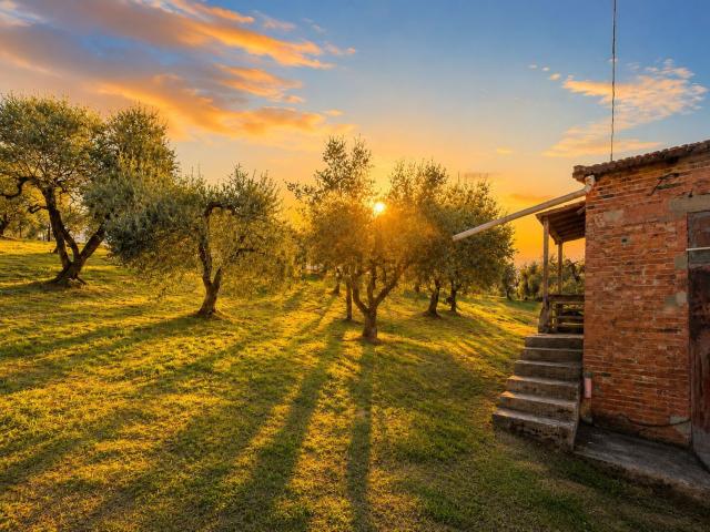 Rustici e casali in vendita di 125 m² in Via Sottobosco