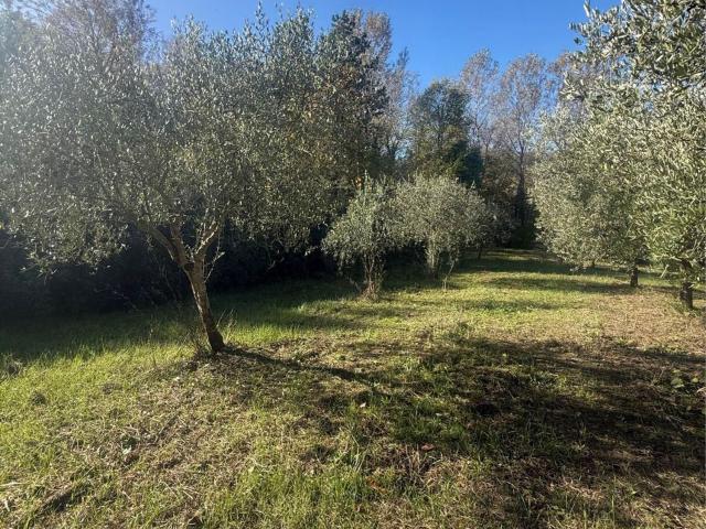 Rustici e casali in vendita di 121 m² in Contrada Orno, 9