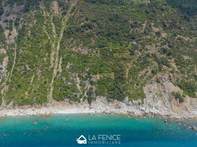 Rustici e casali in vendita di 121 m² in Strada Provinciale delle Cinque Terre
