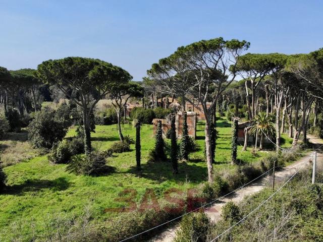 Rustici e casali in vendita di 1350 m² in Via Vecchia Aurelia
