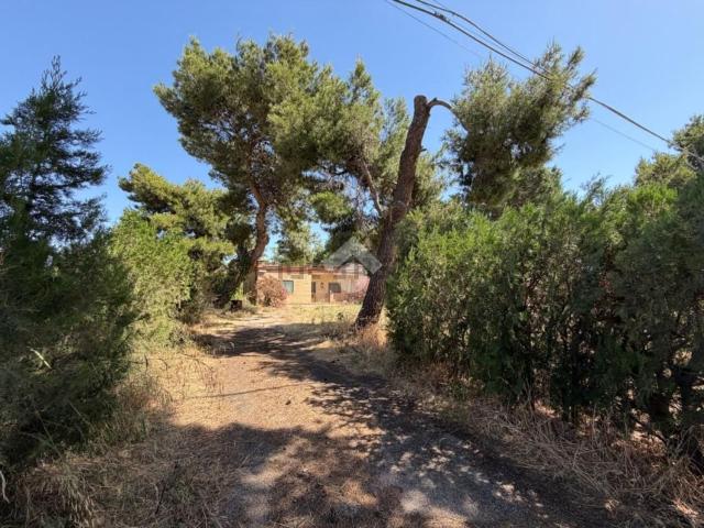 Rustici e casali in vendita di 132 m²