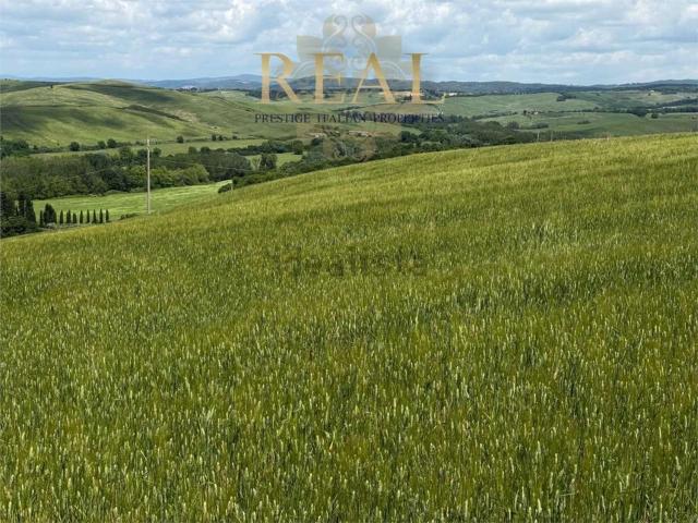 Rustici e casali in vendita di 1470 m² in Strada Provinciale del Brunello