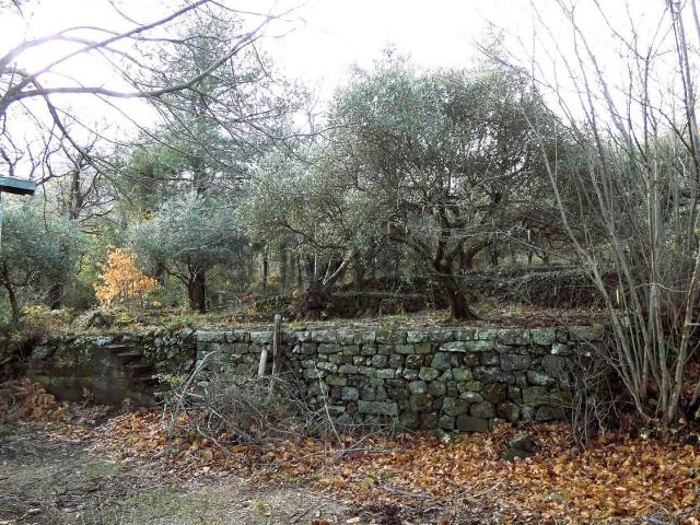 Rustici e casali in vendita di 140 m² in Strada Regionale Mareneve