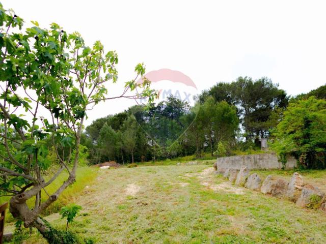 Rustici e casali in vendita di 141 m² in Strada Primicerio Zona L