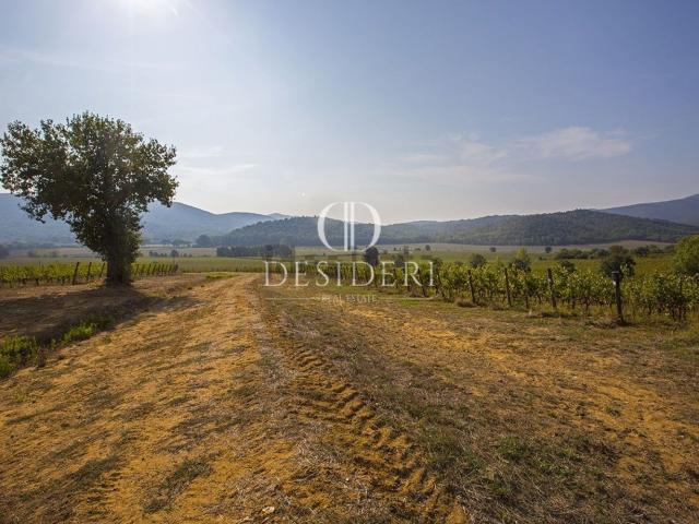 Rustici e casali in vendita di 1500 m² in Via G. Matteotti