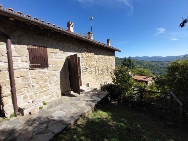 Rustici e casali in vendita di 165 m² in Via di Scarpaccia