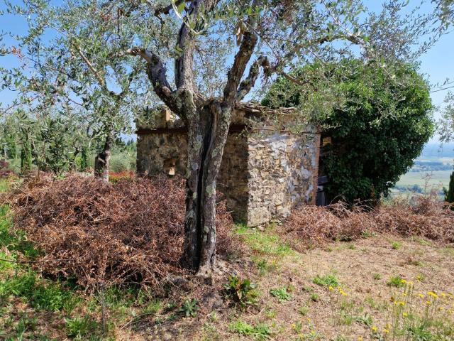 Rustici e casali in vendita di 16 m² in Via delle Forbici, 45