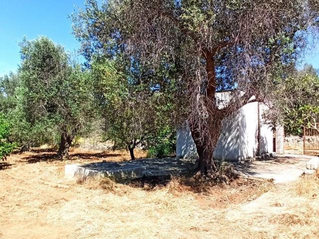 Rustici e casali in vendita di 16 m² in Contrada Caniglia, 40
