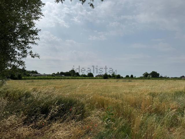 Rustici e casali in vendita di 170 m² in Via Sforzin, 12