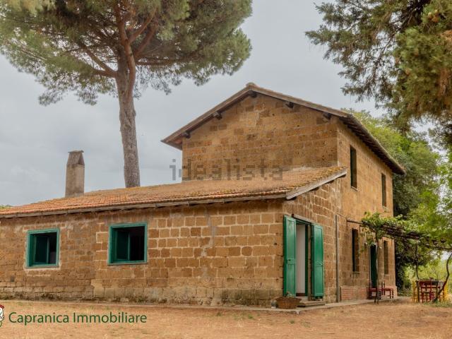 Rustici e casali in vendita di 173 m² in Località paliano