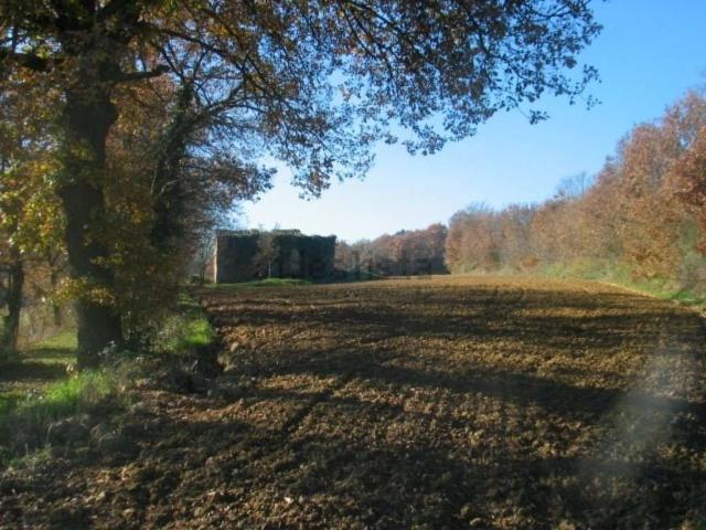 Rustici e casali in vendita di 180 m²