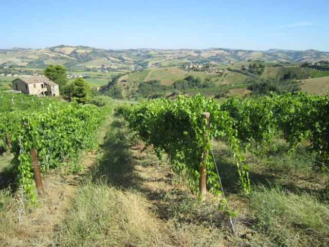 Rustici e casali in vendita di 180 m²