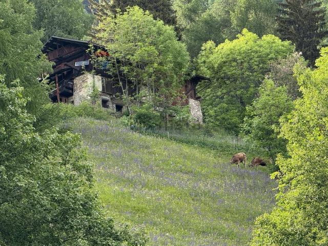 Rustici e casali in vendita di 180 m²