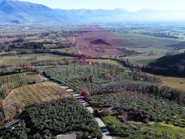 Rustici e casali in vendita di 180 m² in Località Poggio Turri