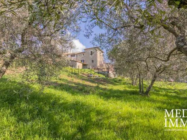 Rustici e casali in vendita di 198 m² in Strada Giuseppe Signorelli, 19