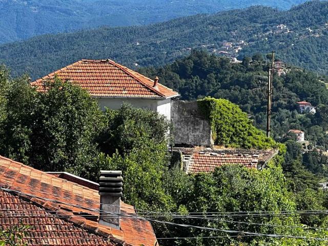 Rustici e casali in vendita di 193 m² in Via del Parodi