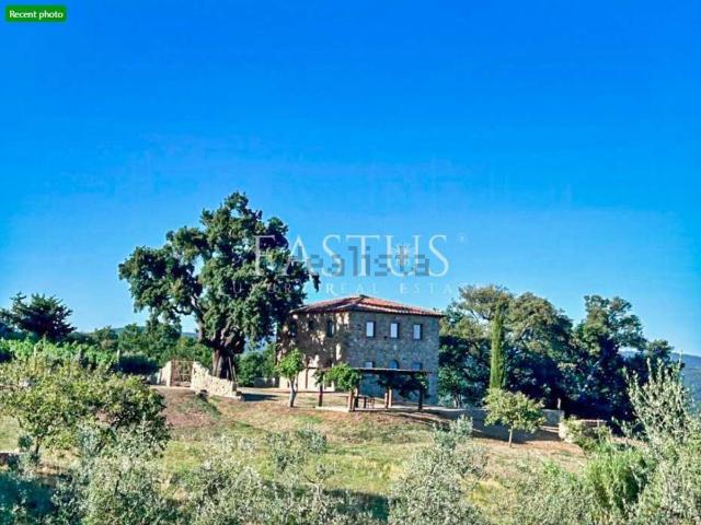 Rustici e casali in vendita di 206 m² in Via del Pino, 1