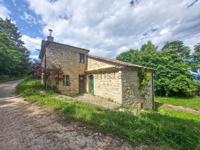Rustici e casali in vendita di 20785 m² in Contrada Farnie