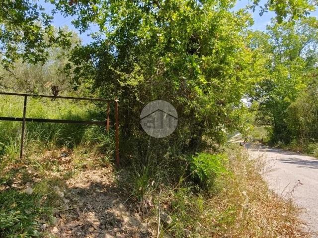 Rustici e casali in vendita di 2000 m²
