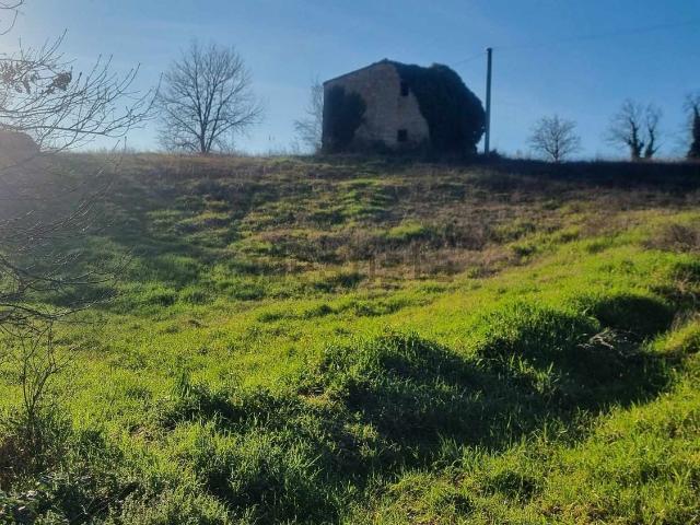 Rustici e casali in vendita di 200 m² in Località Selvarelle Alte