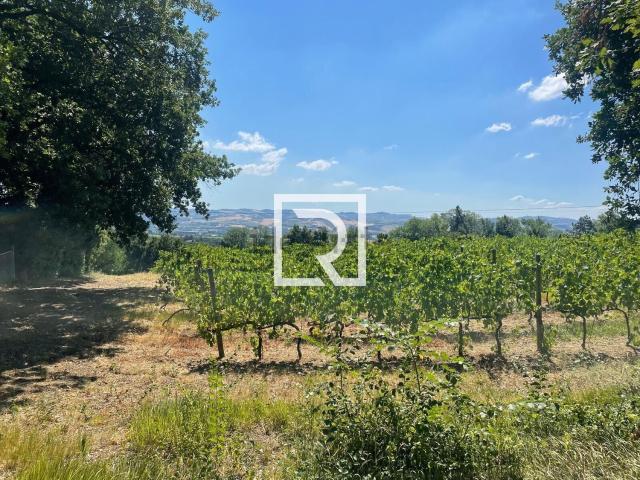 Rustici e casali in vendita di 200 m² in Via la Scagna