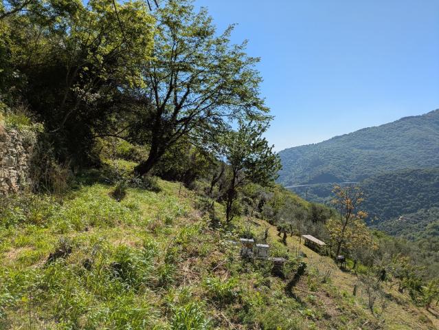 Rustici e casali in vendita di 20 m² in Via al Castello, 35