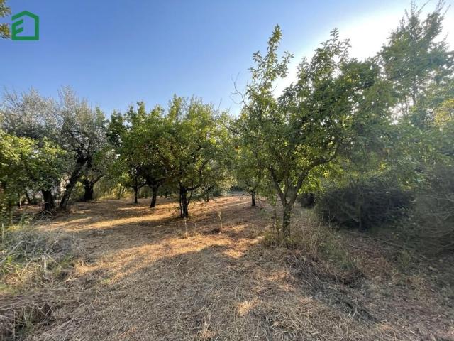 Rustici e casali in vendita di 20 m² in Via Rimemebranze, 117