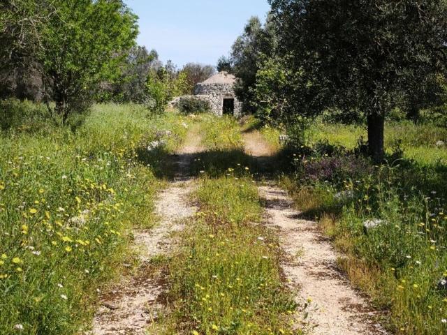 Rustici e casali in vendita di 20 m² in Contrada Maresca