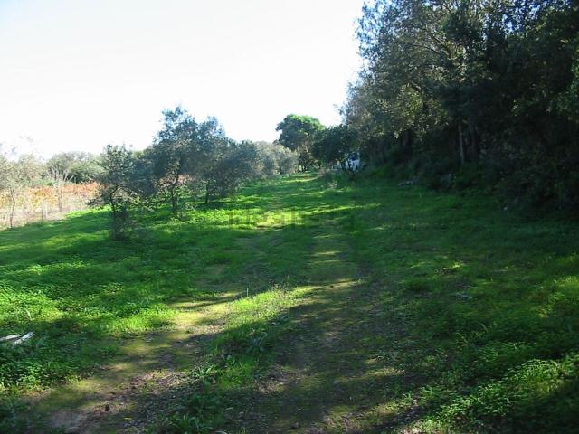 Rustici e casali in vendita di 20 m² in Località is achillonis