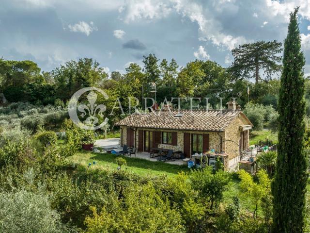 Rustici e casali in vendita di 210 m² in Traversa di Montepulciano, 10