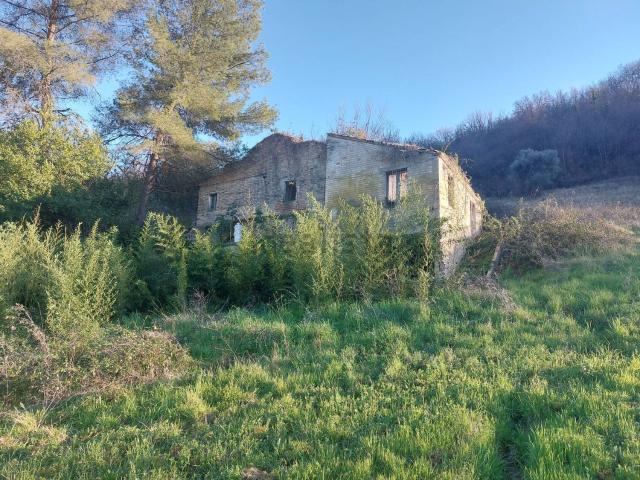 Rustici e casali in vendita di 220 m² in Contrada Fiorano