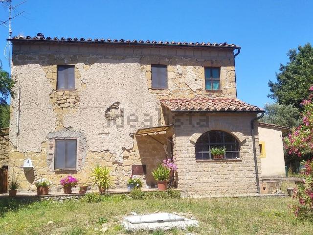 Rustici e casali in vendita di 220 m² in Strada Provinciale Sovana