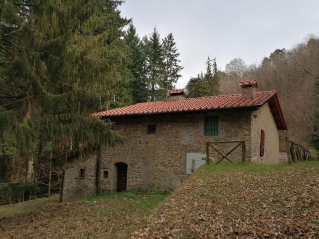 Rustici e casali in vendita di 220 m² in Via di Gricigliana