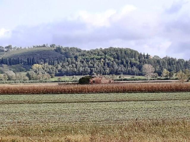 Rustici e casali in vendita di 234 m²