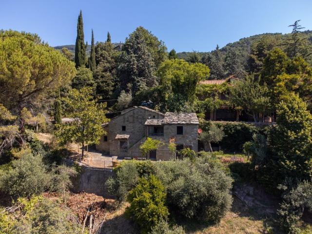 Rustici e casali in vendita di 234 m² in Località Torreone, 117