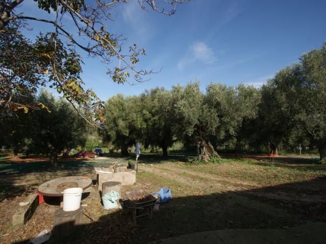 Rustici e casali in vendita di 230 m² in Via sp82