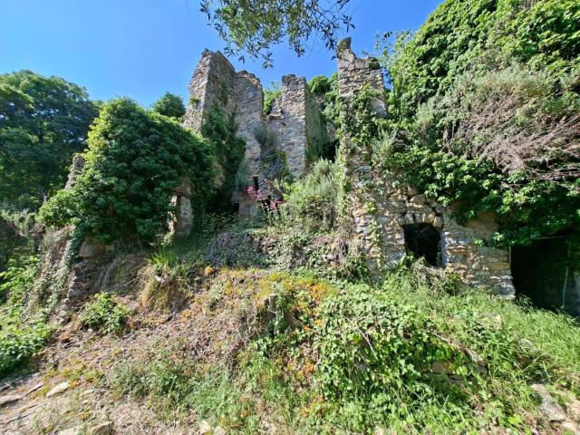 Rustici e casali in vendita di 249 m² in Via Scudier, 66