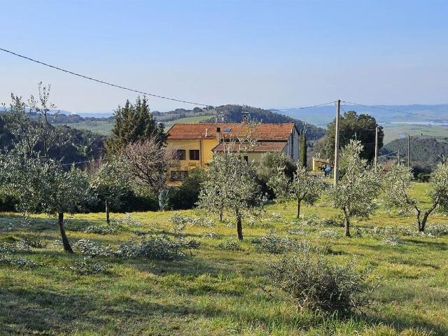 Rustici e casali in vendita di 240 m² in Via della Fonte
