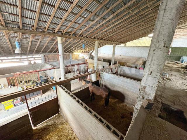 Rustici e casali in vendita di 240 m² in Via San Quirino, 27